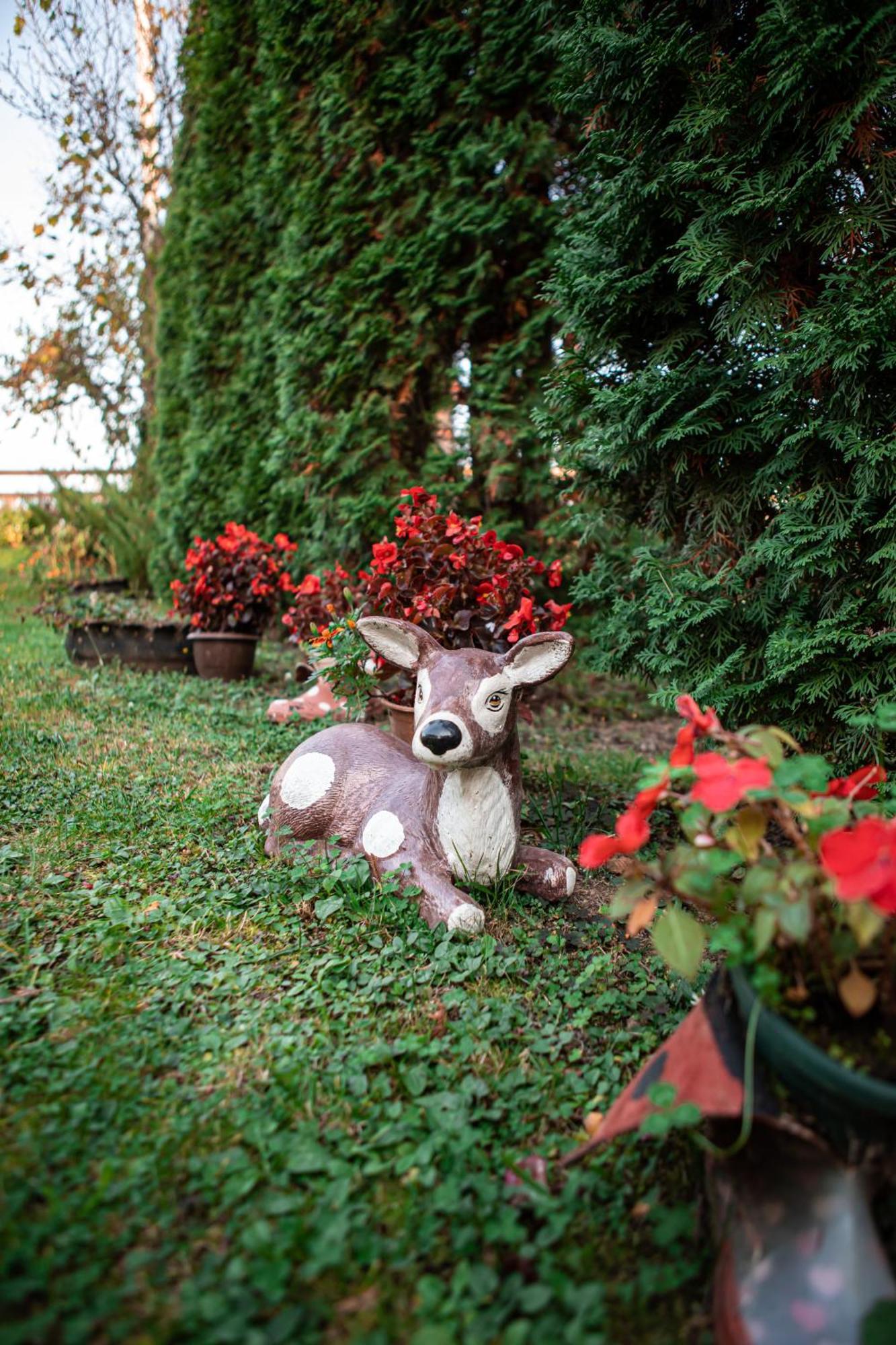 Prenociste Lelic Villa Valjevo Kültér fotó