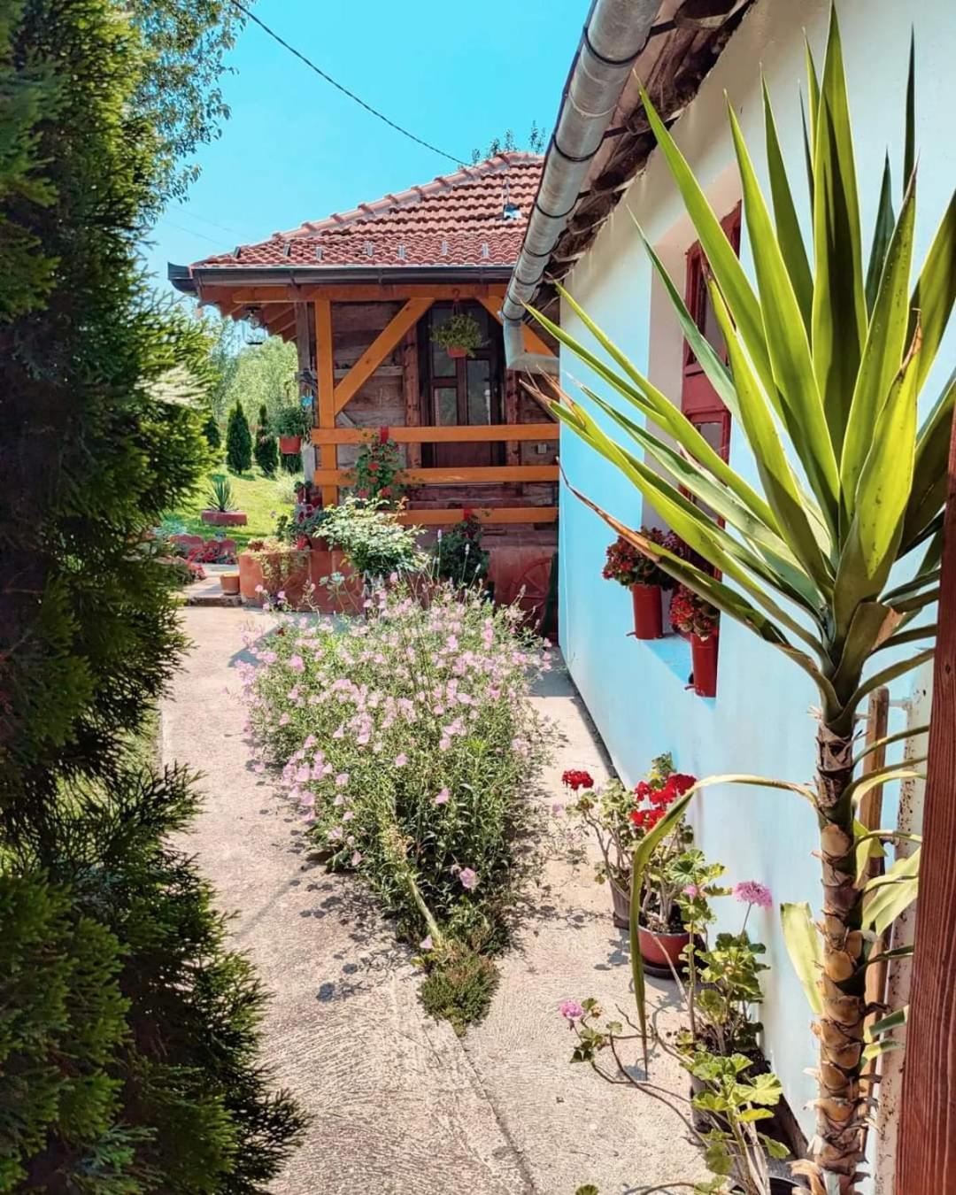 Prenociste Lelic Villa Valjevo Kültér fotó
